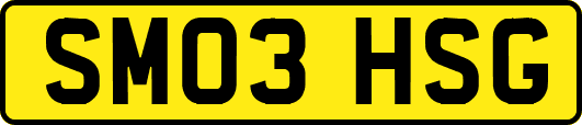 SM03HSG