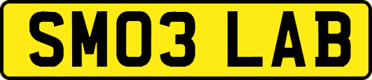 SM03LAB