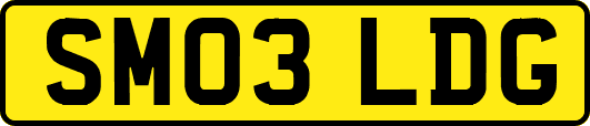 SM03LDG