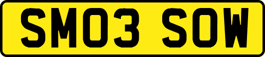 SM03SOW