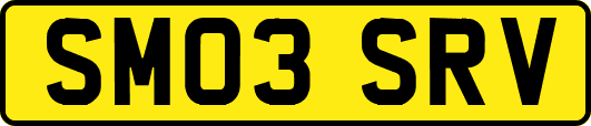 SM03SRV