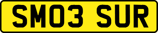 SM03SUR