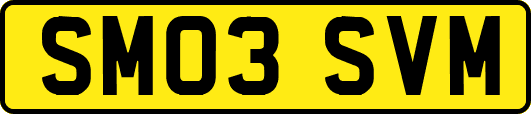 SM03SVM