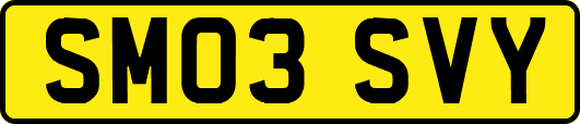 SM03SVY