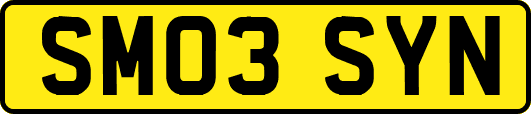 SM03SYN