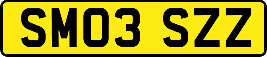 SM03SZZ