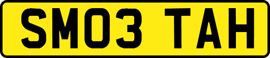 SM03TAH