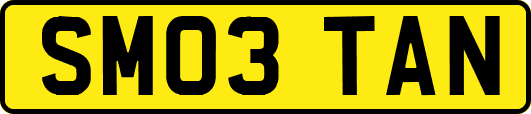 SM03TAN