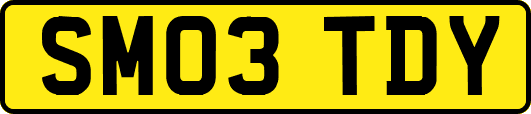 SM03TDY