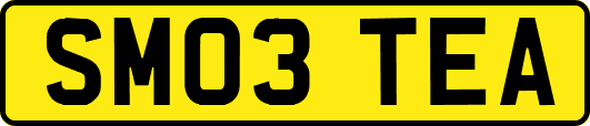 SM03TEA