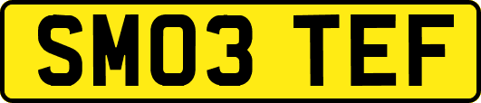 SM03TEF