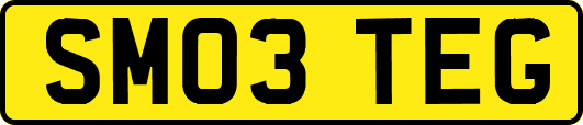 SM03TEG