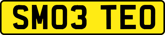 SM03TEO