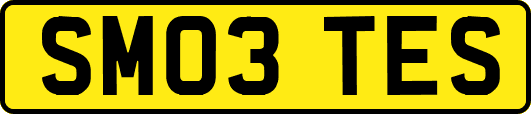 SM03TES