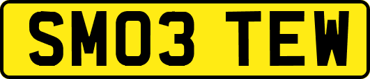 SM03TEW