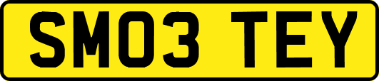 SM03TEY
