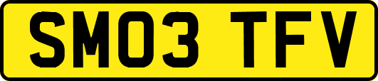 SM03TFV