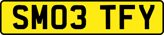 SM03TFY