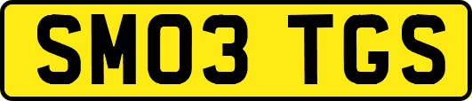 SM03TGS