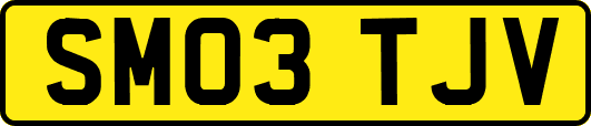 SM03TJV