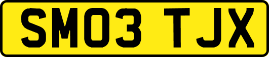 SM03TJX
