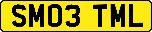 SM03TML