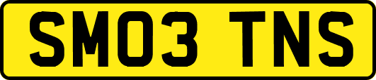 SM03TNS