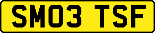 SM03TSF