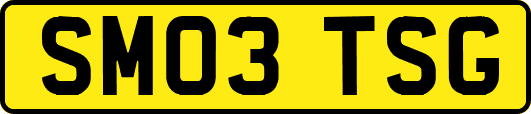 SM03TSG