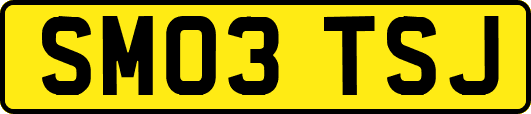 SM03TSJ