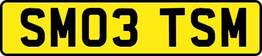 SM03TSM