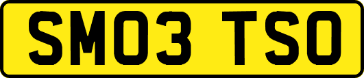 SM03TSO