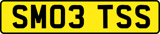 SM03TSS