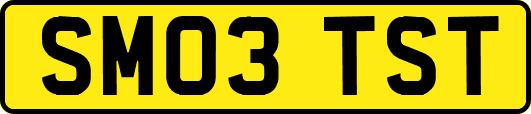 SM03TST
