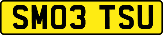 SM03TSU
