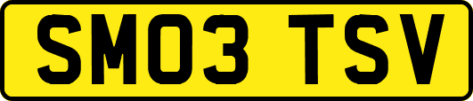 SM03TSV