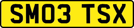 SM03TSX