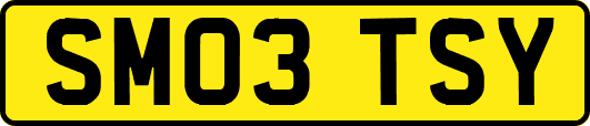 SM03TSY