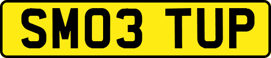 SM03TUP
