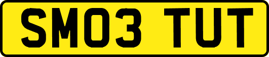 SM03TUT