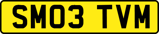 SM03TVM