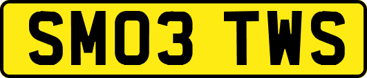SM03TWS