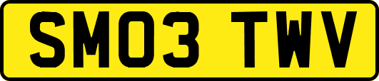 SM03TWV