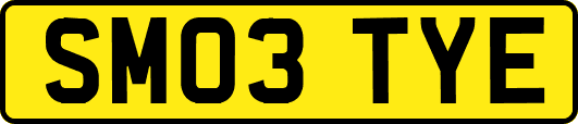 SM03TYE