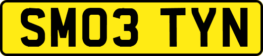 SM03TYN