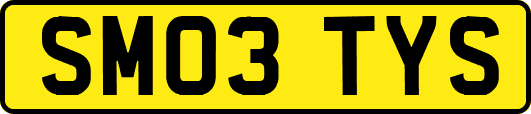 SM03TYS