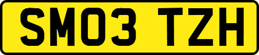 SM03TZH