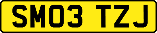 SM03TZJ