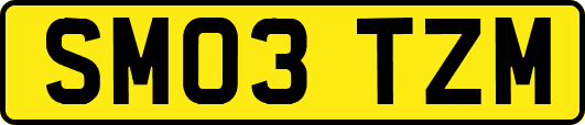 SM03TZM