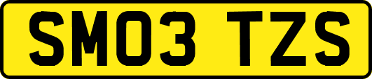 SM03TZS